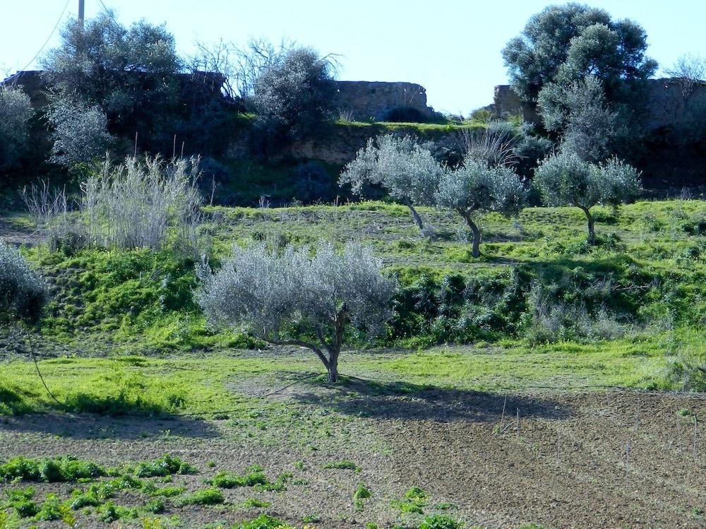 Agriturismo Passo Dei Briganti Agrigento Exteriér fotografie