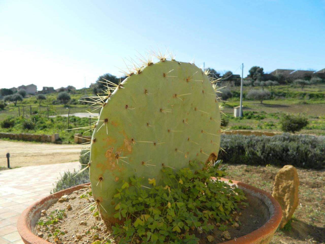Agriturismo Passo Dei Briganti Agrigento Exteriér fotografie